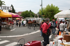 La Grande Fouille 2012 - Rougemont (22)